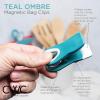 COOK WITH COLOR Bag Clips with Magnet- Food Clips for Snack and Bread Bags (Pink and Grey, Pack of 10)(Light Blue Ombre)