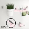 COOK WITH COLOR Bag Clips – Heavy Duty Chip Clip and Refrigerator Magnet Clips for Food Storage with Air Tight Seal Grip, Mint, Pack of 4 Large Clips(Pink)