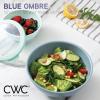 COOK WITH COLOR Mixing Bowls with TPR Lids – 12 Piece Plastic Nesting Set includes 6 Prep and Lids, Microwave Safe Bowl (Black Ombre)(Blue TPR Lids)