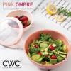 COOK WITH COLOR Mixing Bowls with TPR Lids – 12 Piece Plastic Nesting Set includes 6 Prep and Lids, Microwave Safe Bowl (Black Ombre)(Rose TPR Lid)